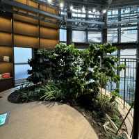 植物園の中にあるオシャレすぎるカフェ🌿☕️