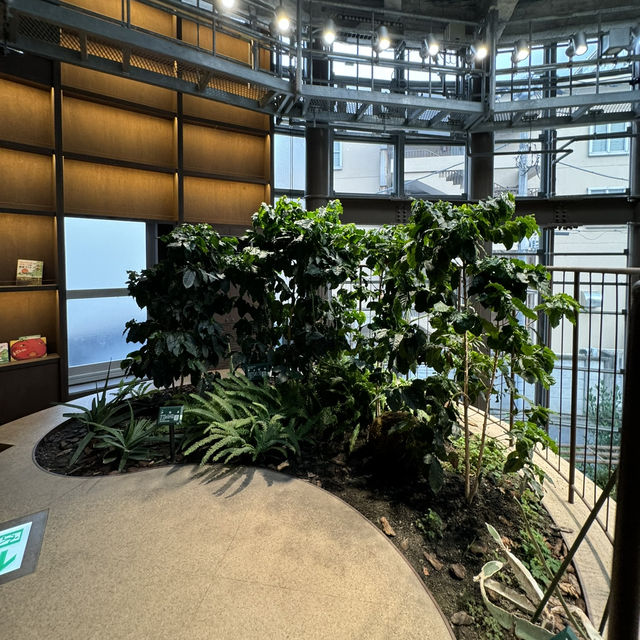 植物園の中にあるオシャレすぎるカフェ🌿☕️ 植物園の中にあるオシャレすぎるカフェ🌿☕️