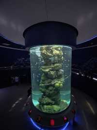 [ชลบุรี] 🪼 Bangsaen Aquarium (อควาเรียมบางแสน)