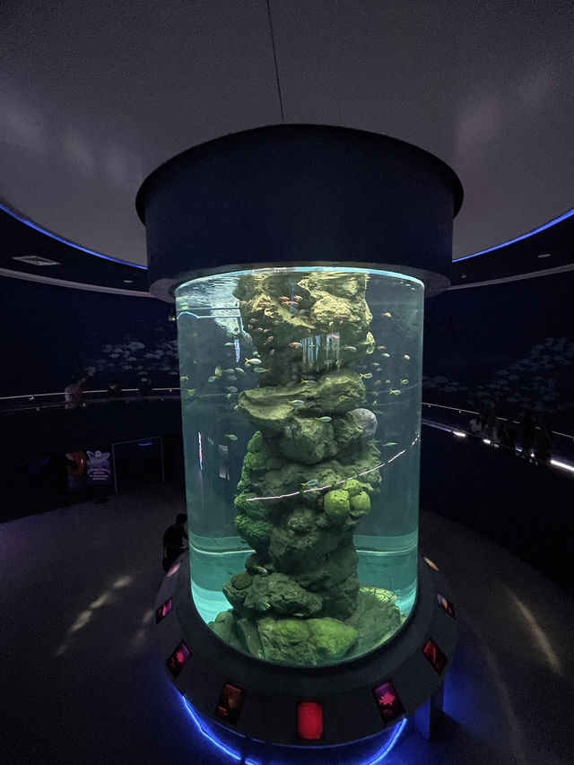 [ชลบุรี] 🪼 Bangsaen Aquarium (อควาเรียมบางแสน)