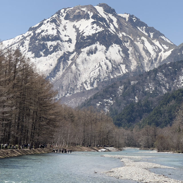 🌿 山と水の楽園へようこそ：上高地の春散策 🏞️✨
