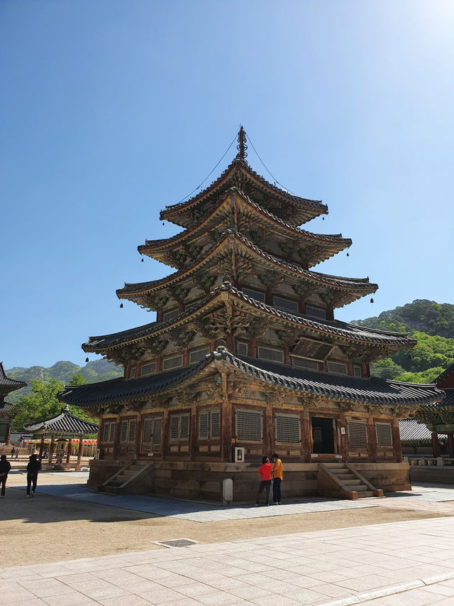 📍 보은 법주사 고즈넉한 사찰 여행기 