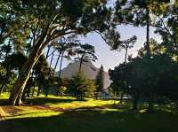 De Waal Park: Where Cape Town Comes to Play