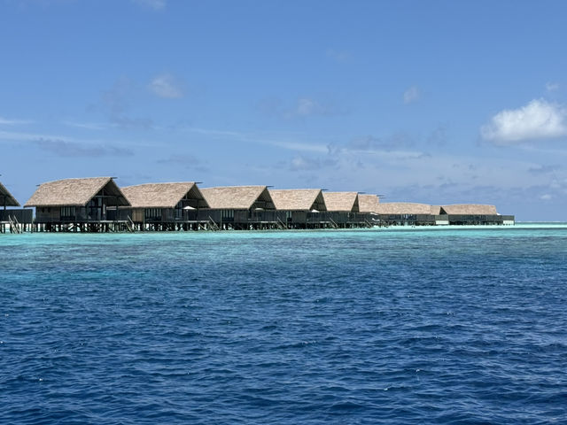 Ultimate 5 DAYS MALDIVES 🇲🇻 Male•Fulidhoo•Nooe✨Budget vs Luxury + Itinerary