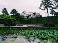 端午節的富山城跡之旅 🏰🌸