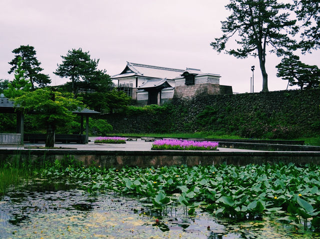 端午節的富山城跡之旅 🏰🌸