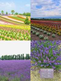 ทิวทัศน์อันตระการตา อาหารที่อบอุ่น