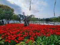 You Won’t Believe This Is in Hong Kong: A Stunning Tulip Garden at Lake Egret Nature Park