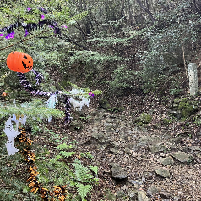 【朝熊山⛰️から宇治岳道】　三重