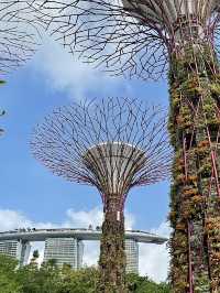 🌴 รีวิวเที่ยว “สิงคโปร์“🇸🇬