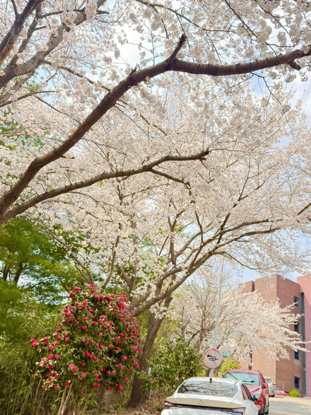 연인과 함께한, 잊지 못할 야외 데이트 🌿