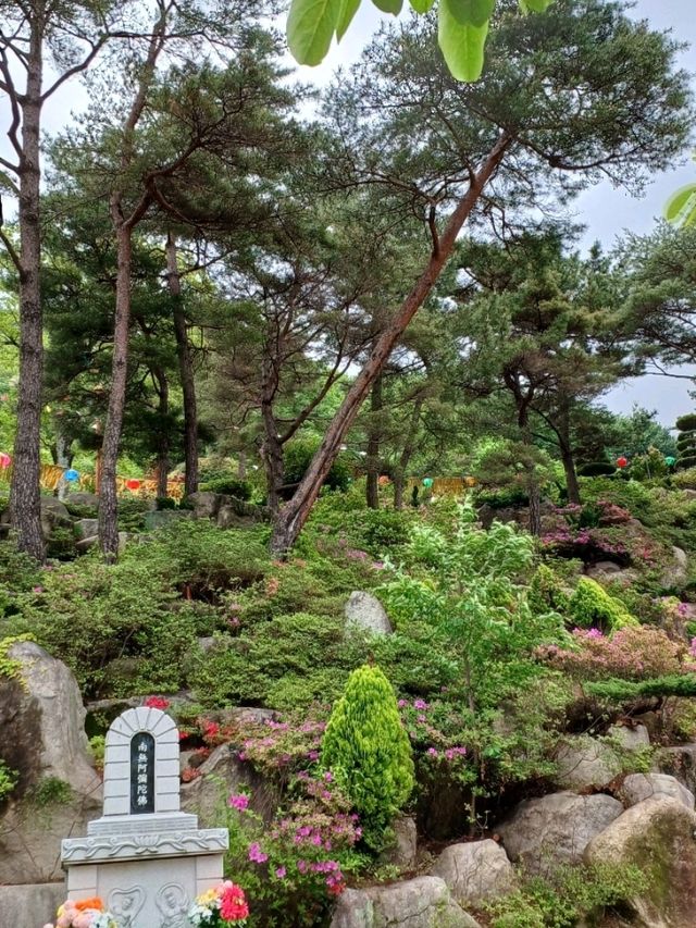 마음의 소리를 듣는 새벽, 백천사