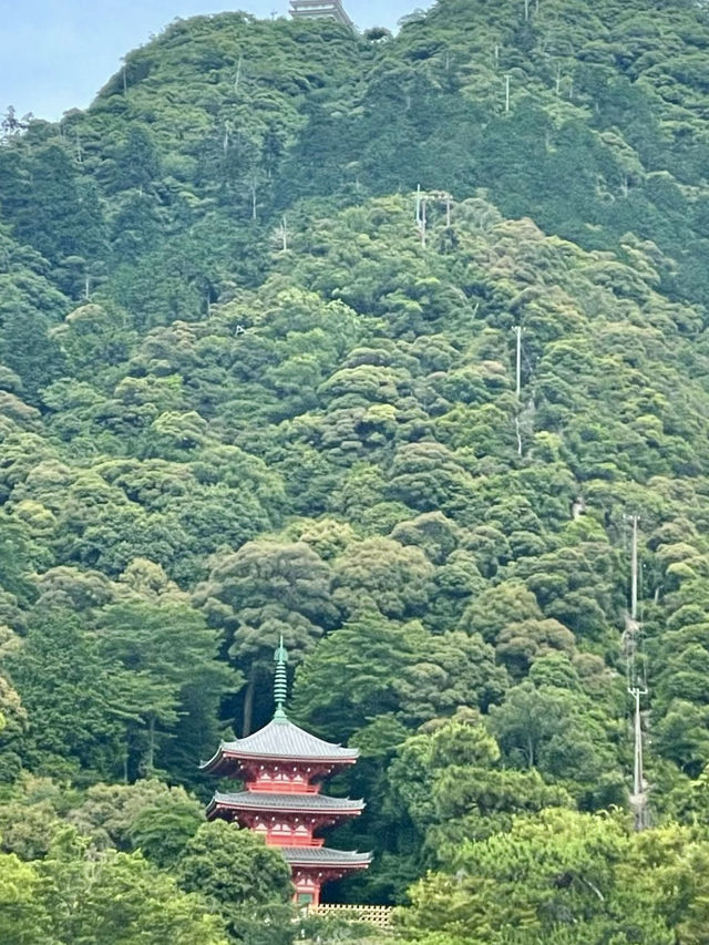A Slow Stroll Through Gifu – Nature, History & Calm