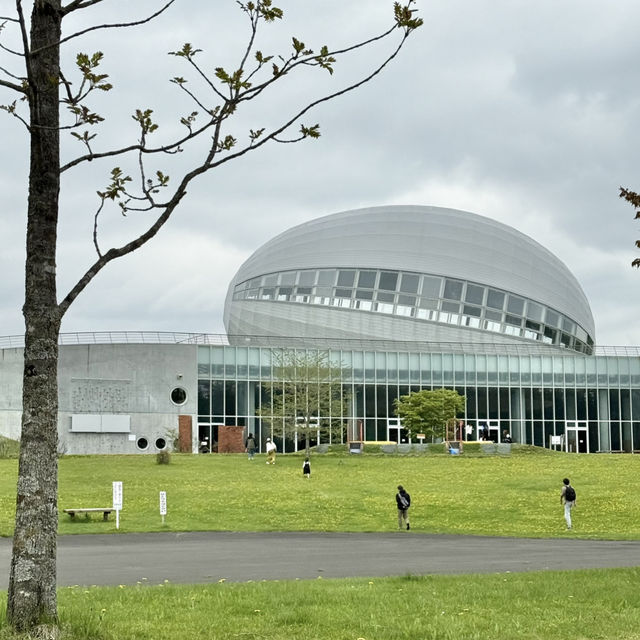 1日居ても飽きない‼️無料で超楽しい公園