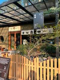 Kocha Matcha Spot