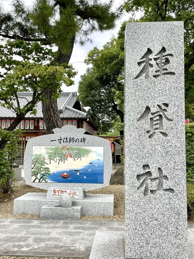 A Day Around Sumiyoshi Taisha⛩ in Osaka