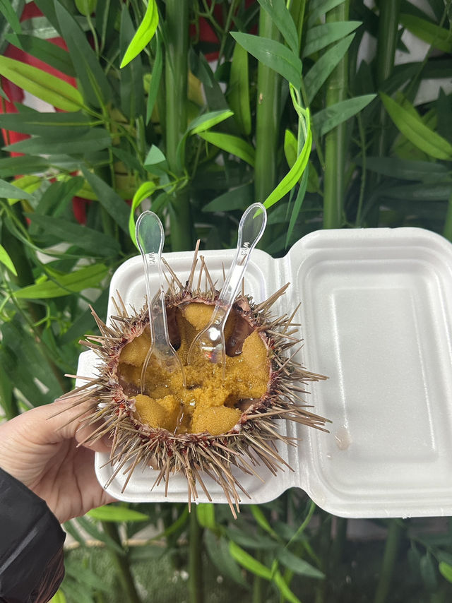 대련 해산물 현지인처럼 싸고 신선하고 맛있게 먹고 싶다면?(대련여행코스 2-1)