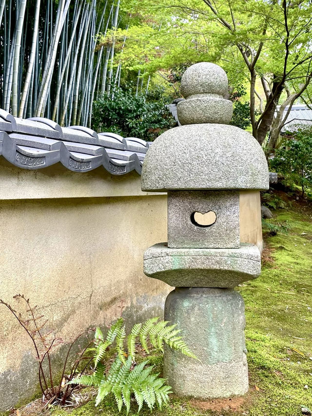 A Peaceful Day Exploring Oku-Saga, Kyoto 🌿