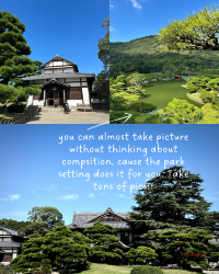 [Japan 🇯🇵] Ritsurin Garden: A Pine-Perfect Japanese Escape