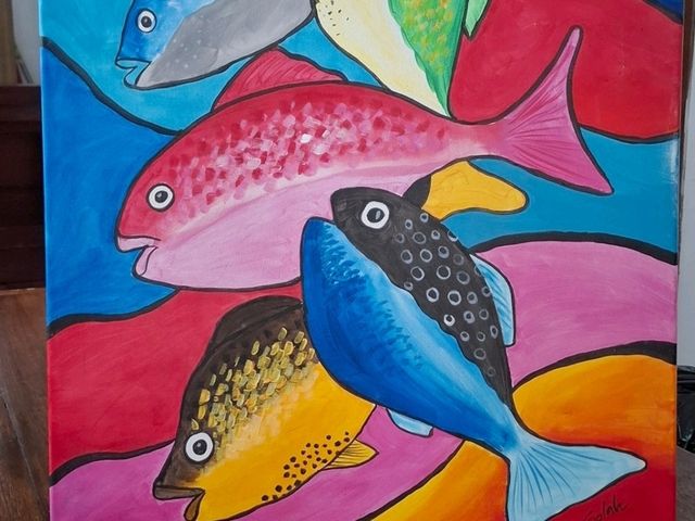 🦈鯊魚蜂擁而至的酒店 Plumeria Maldives 🩵🩵