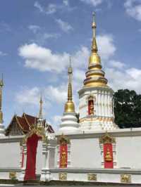 "วัดแม่ทาน" 