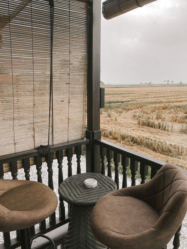 Nature Escape: A Staycation by the Paddy Fields 🌾
