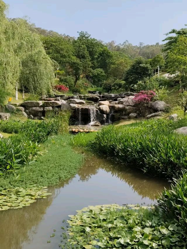 🪴Citywalk 東莞植物園