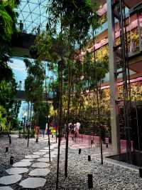 A Mesmerizing Oasis – Jewel Changi’s Rain Vortex