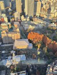 東京浪漫地標～【東京鐵塔展望台】