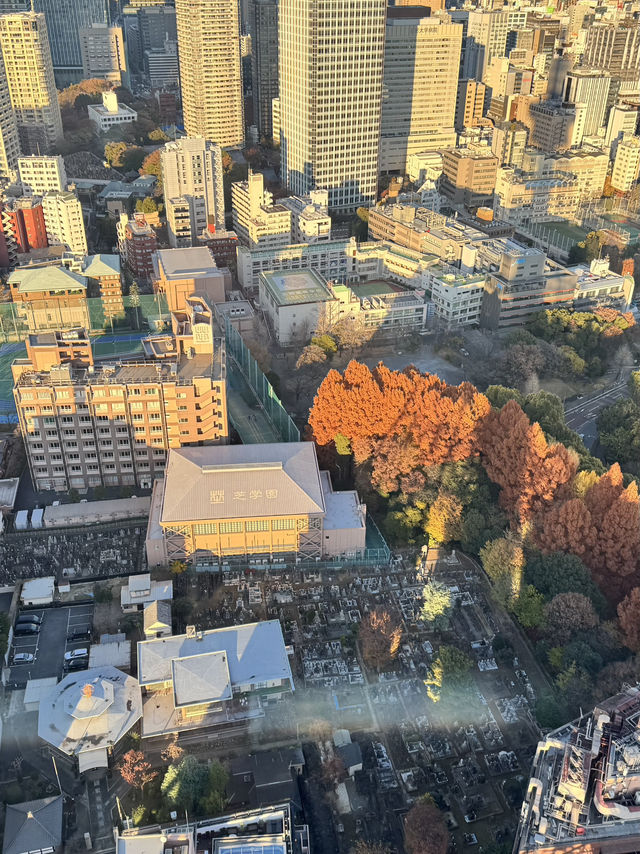 東京浪漫地標～【東京鐵塔展望台】