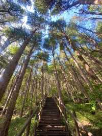 Hidden Gem Alert, Joryeong Mountain