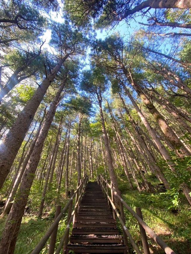 Hidden Gem Alert, Joryeong Mountain
