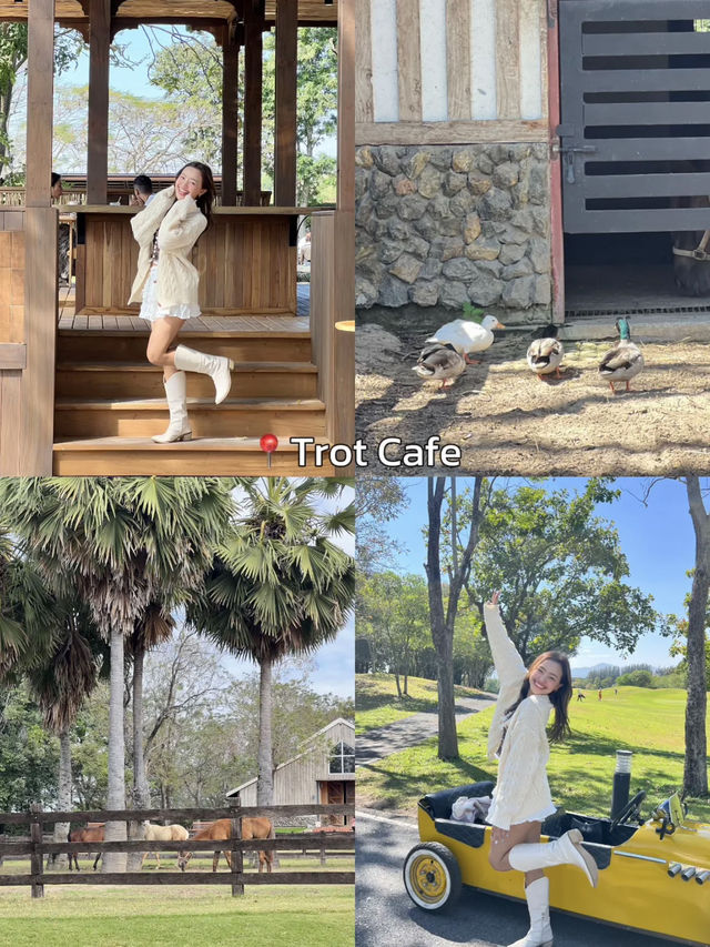 เที่ยวเขาใหญ่ 3 วัน 2 คืน ไปไหนดี?🌳🪵
