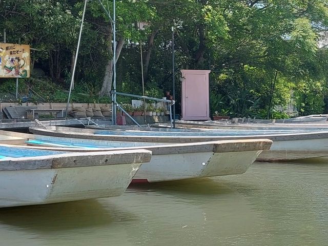 Sail along Yanagawa