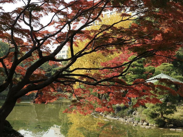 🍁 東京的秋天，把金黃鋪滿了整條街道。