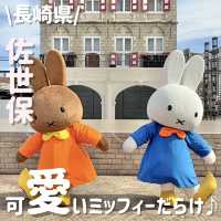 可愛いミッフィーたくさん⁉️運が良ければ会えちゃう