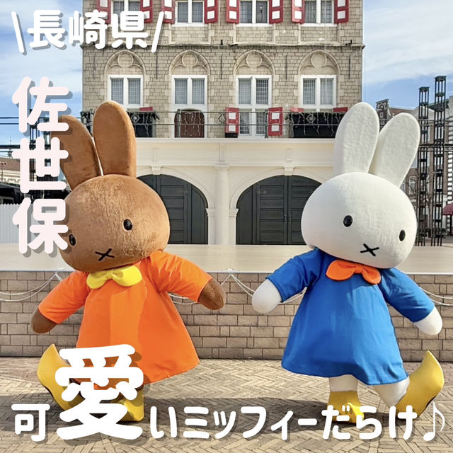 可愛いミッフィーたくさん⁉️運が良ければ会えちゃう