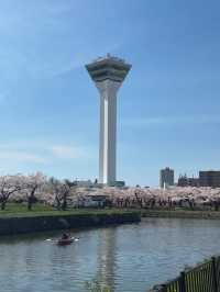 🎯【北海道・五稜郭公園】星型要塞の歴史と桜が彩る、函館の絶景スポット