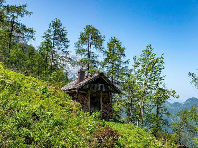 アルプスの風に吹かれて、心も深呼吸🍃🏔️ #オーストリアの自然 #癒しの風景 #四季の美しさ  