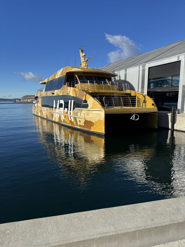Hobart in 72 Hours: Art, Eats & Epic Views!