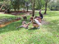 Australia Zoo