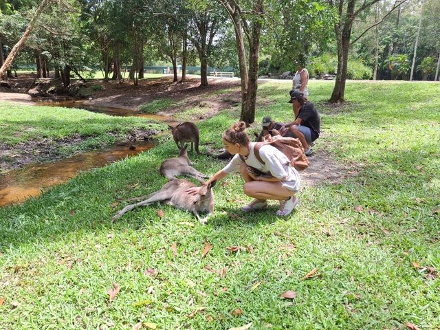 Australia Zoo