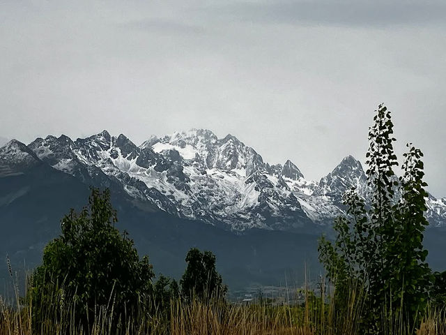 Tranquil Escape at Lijiang Botanical Garden