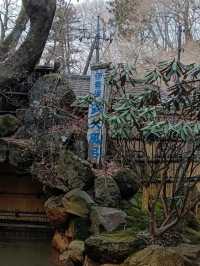 日本群馬自由行 伊香保温泉 石段街