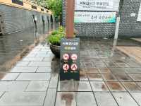 💚🍀 초록색 천연잔디가 맑은 서복공원 
