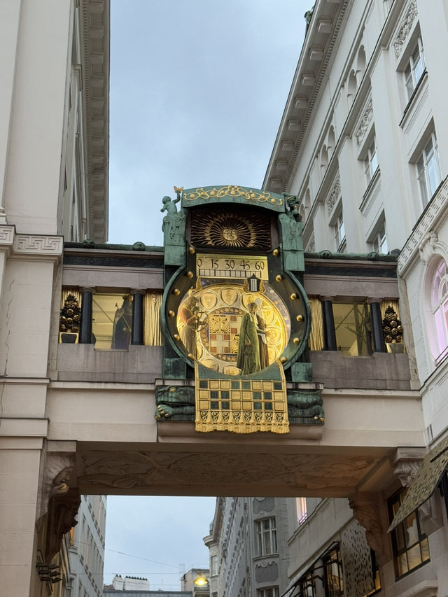 매력적인 도시 비엔나 🇦🇹