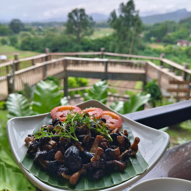 🍄 ฟาร์มเห็ดบ้านหัวน้ำ จ.น่าน |