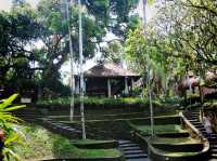 A random visit temple in my Bali adventure