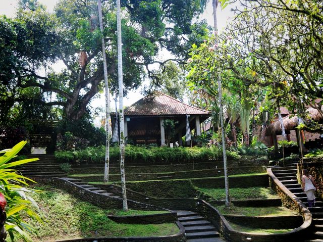 A random visit temple in my Bali adventure