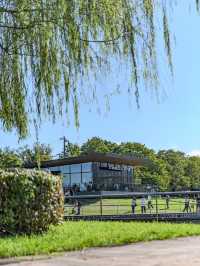 水と緑に癒される富山のオアシス🌿 富岩運河環水公園で過ごす静かな時間